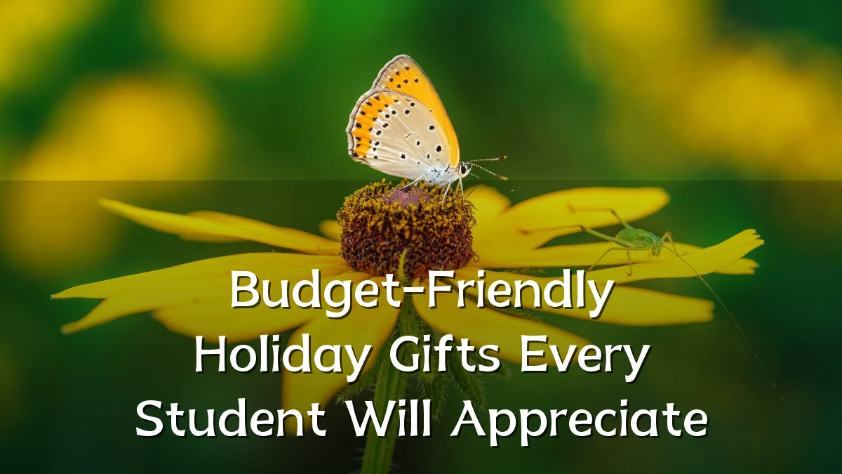 Budget-Friendly Holiday Gifts Every Student Will Appreciate