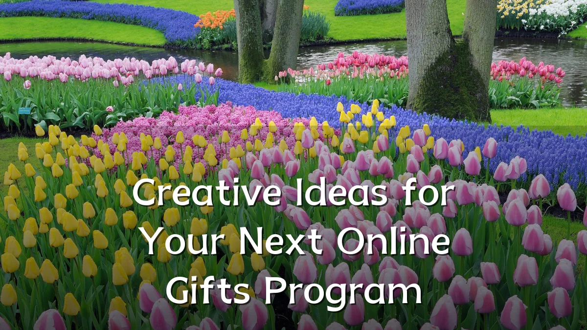 Creative Ideas for Your Next Online Gifts Program
