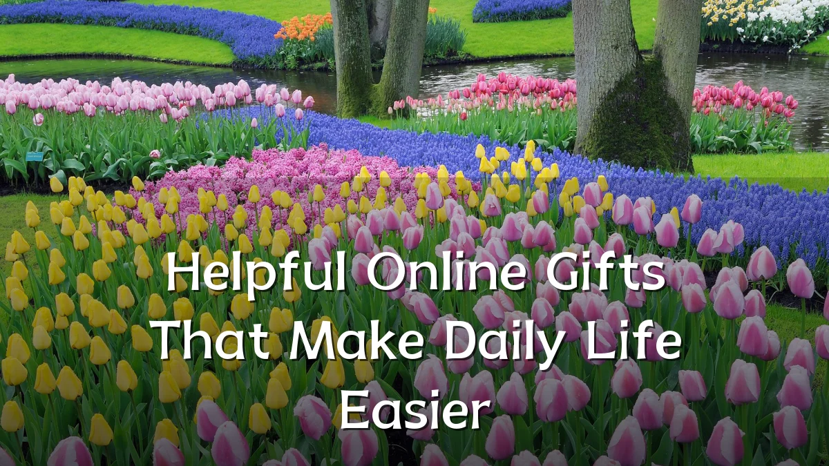 Helpful Online Gifts That Make Daily Life Easier