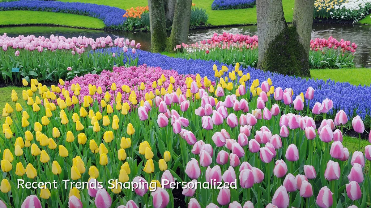 Recent Trends Shaping Personalized