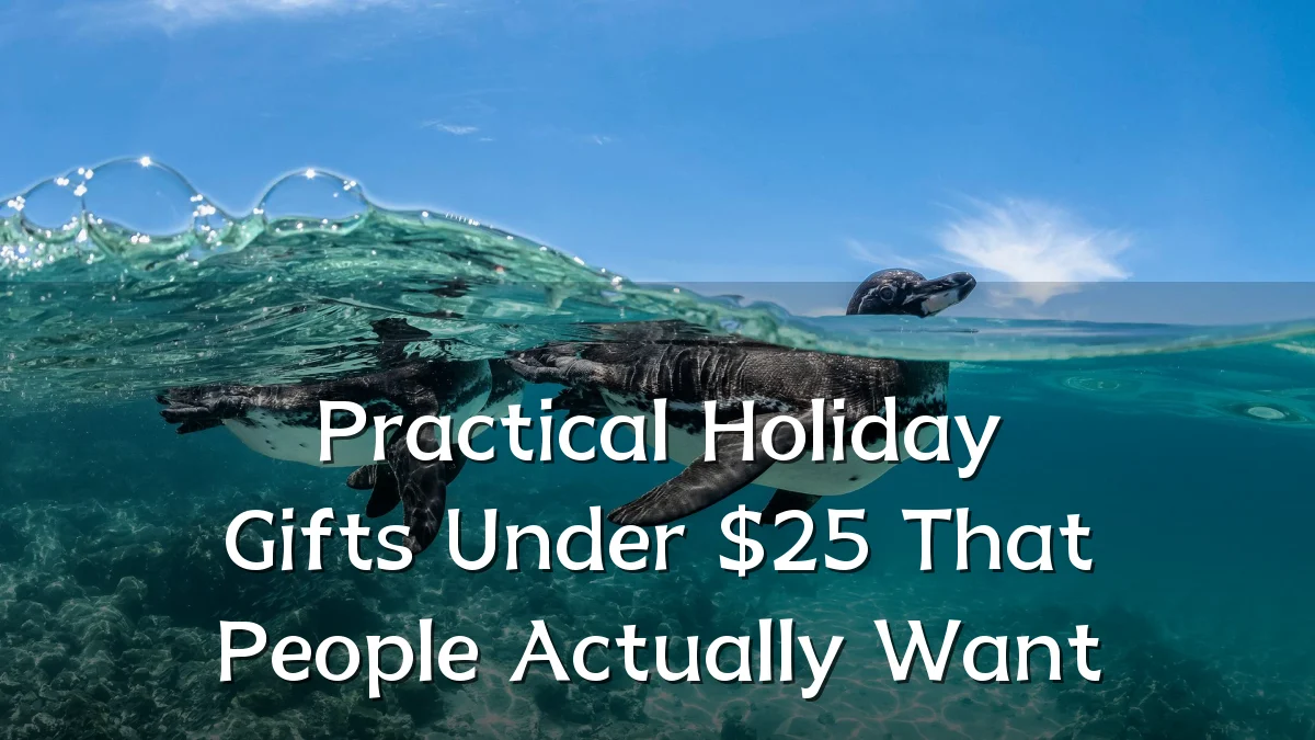 Practical Holiday Gifts Under $25 That People Actually Want