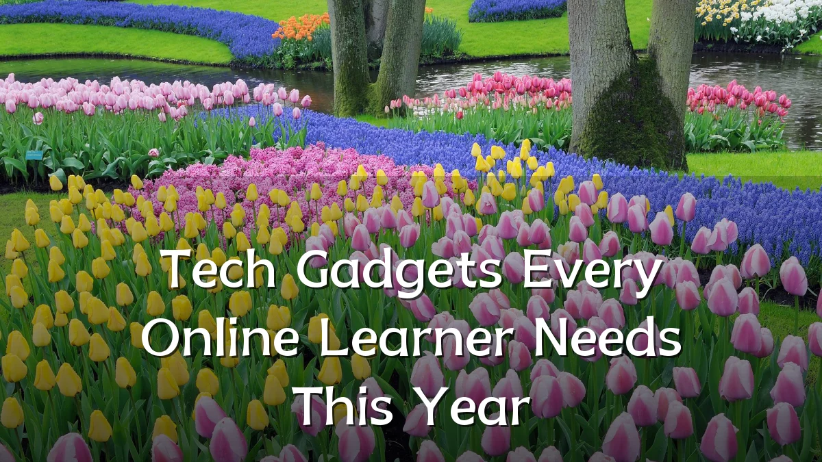 Tech Gadgets Every Online Learner Needs This Year