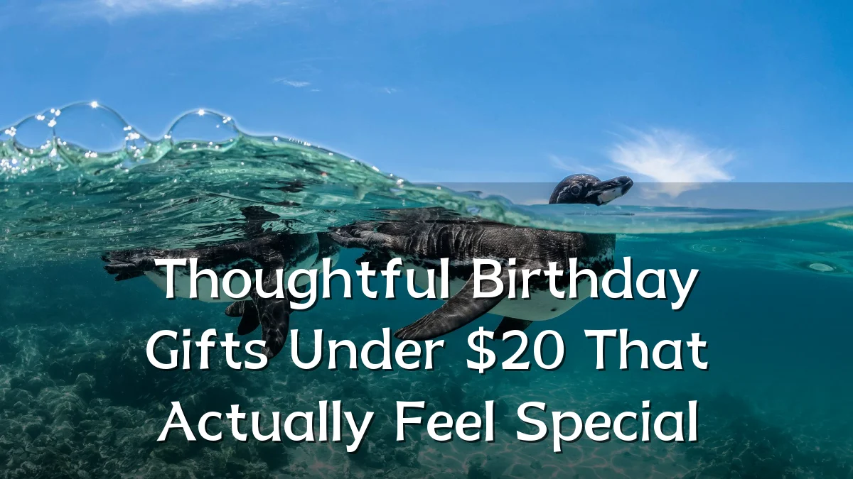Thoughtful Birthday Gifts Under $20 That Actually Feel Special
