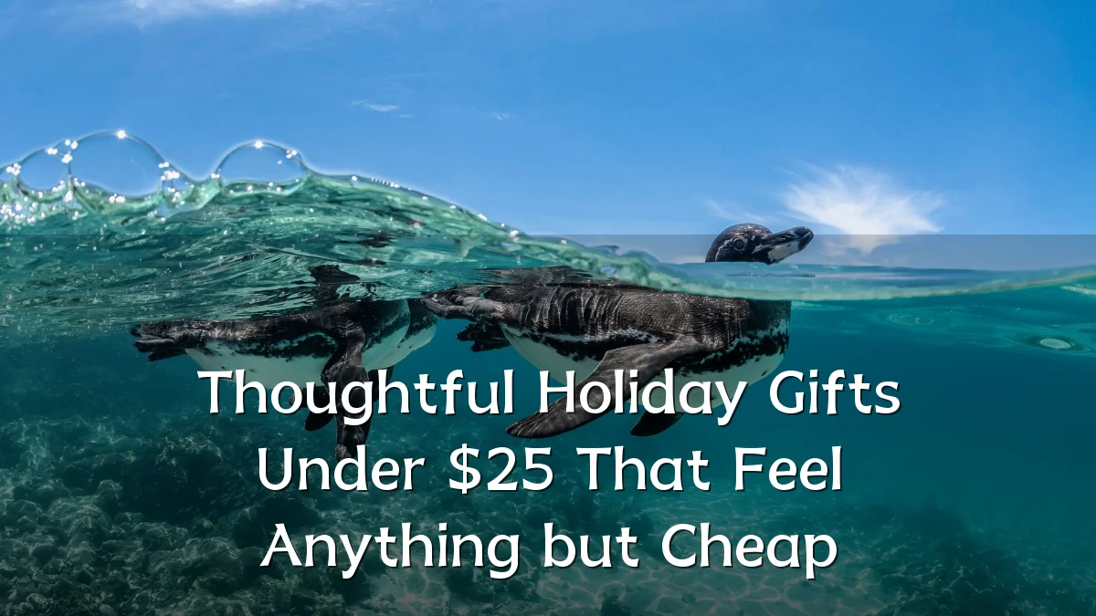 Thoughtful Holiday Gifts Under $25 That Feel Anything but Cheap