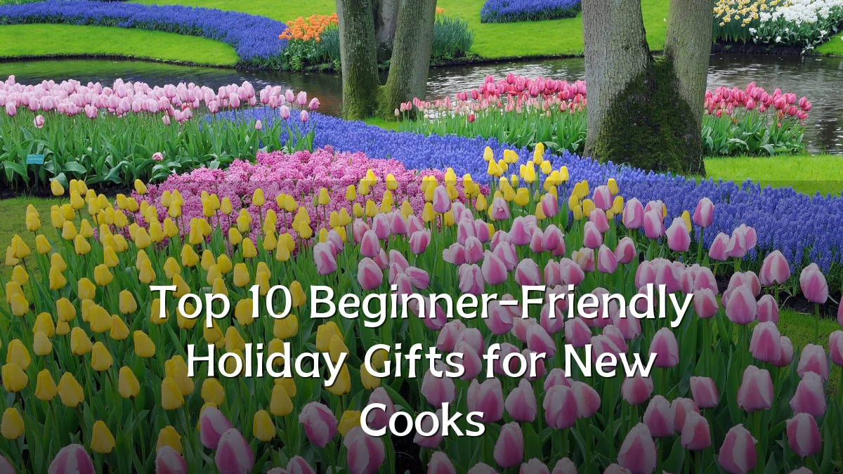 Top 10 Beginner-Friendly Holiday Gifts for New Cooks