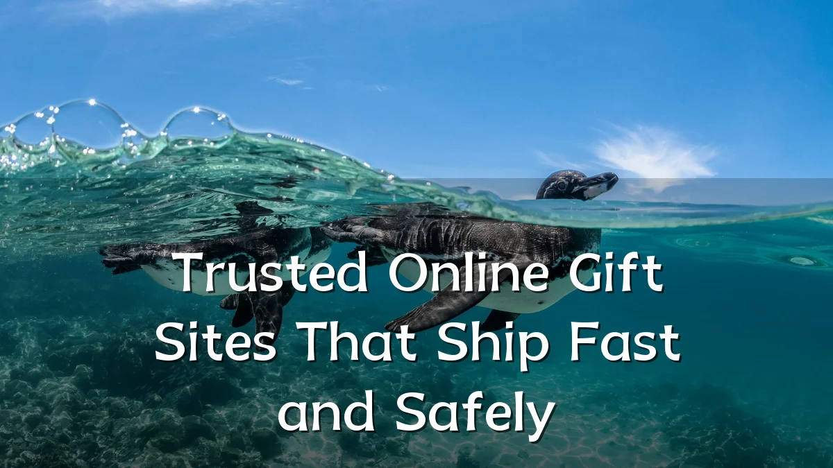 Trusted Online Gift Sites That Ship Fast and Safely