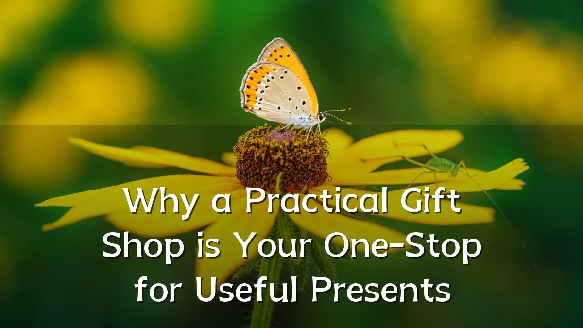 Why a Practical Gift Shop is Your One-Stop for Useful Presents