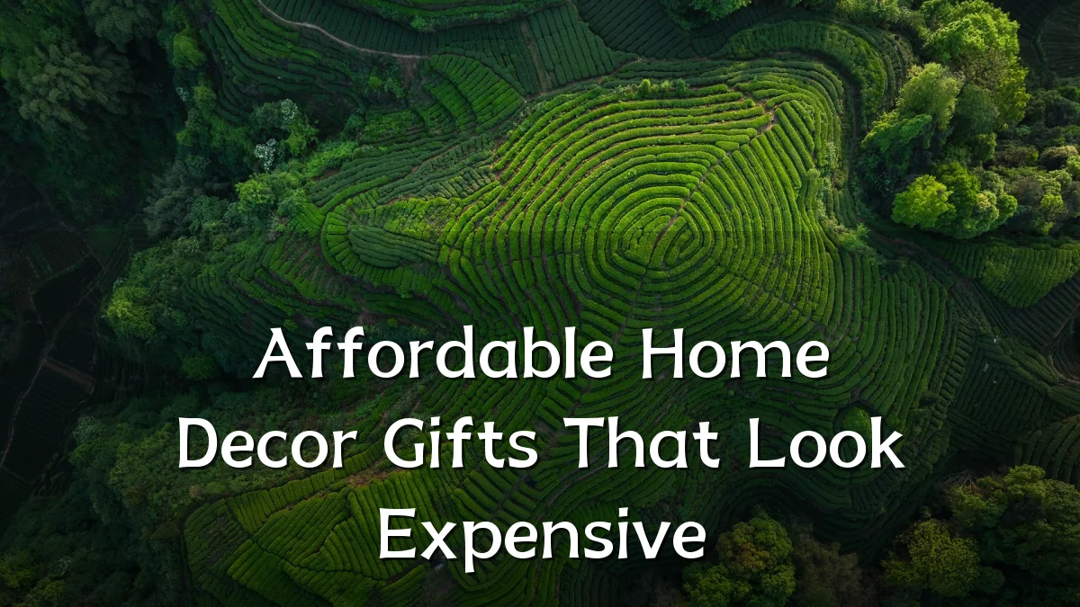 Affordable Home Decor Gifts That Look Expensive
