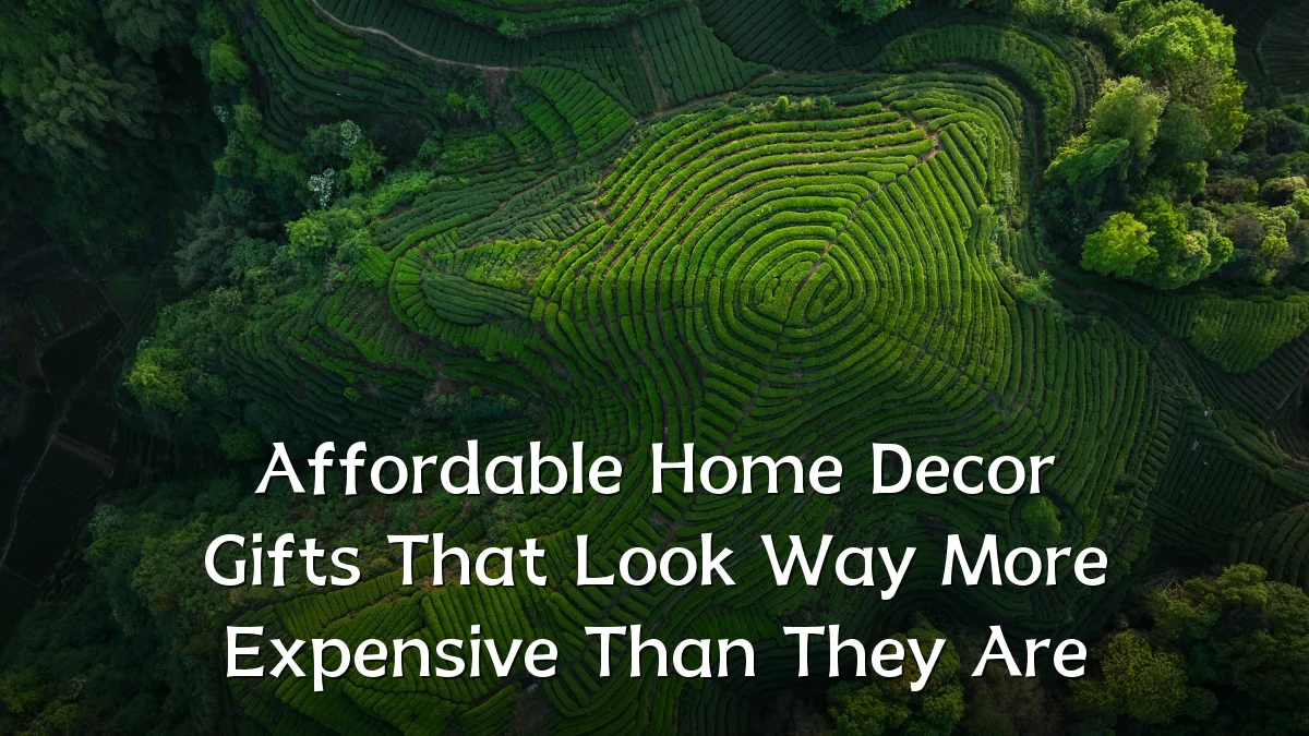 Affordable Home Decor Gifts That Look Way More Expensive Than They Are