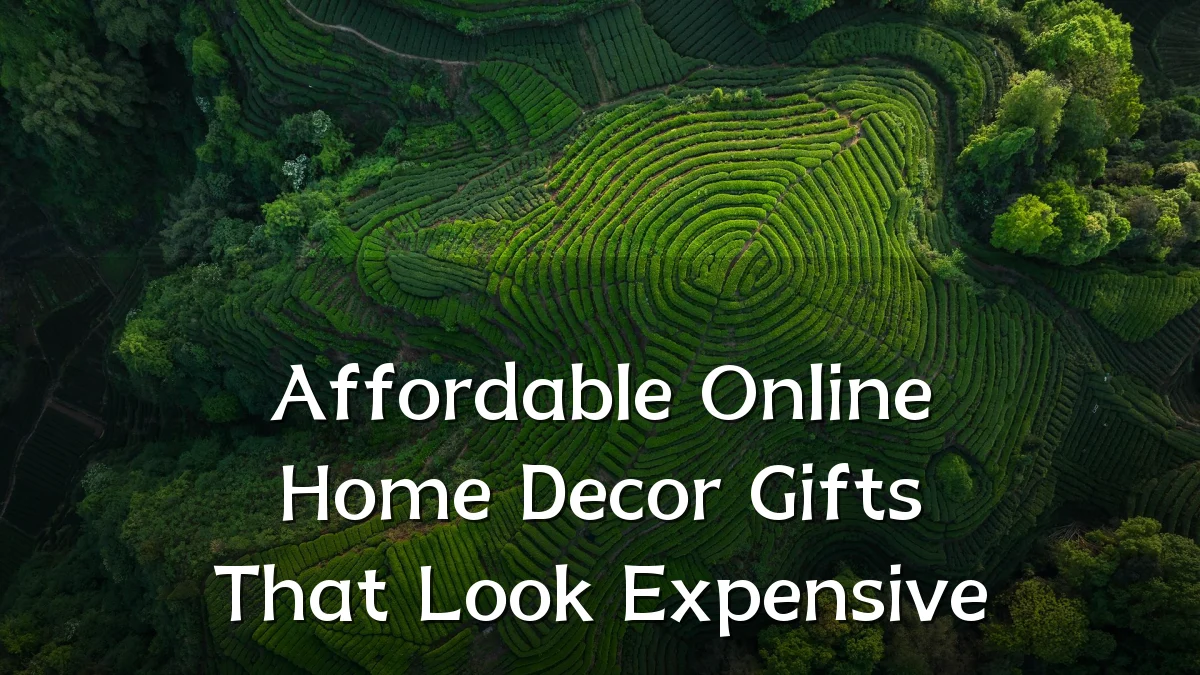 Affordable Online Home Decor Gifts That Look Expensive