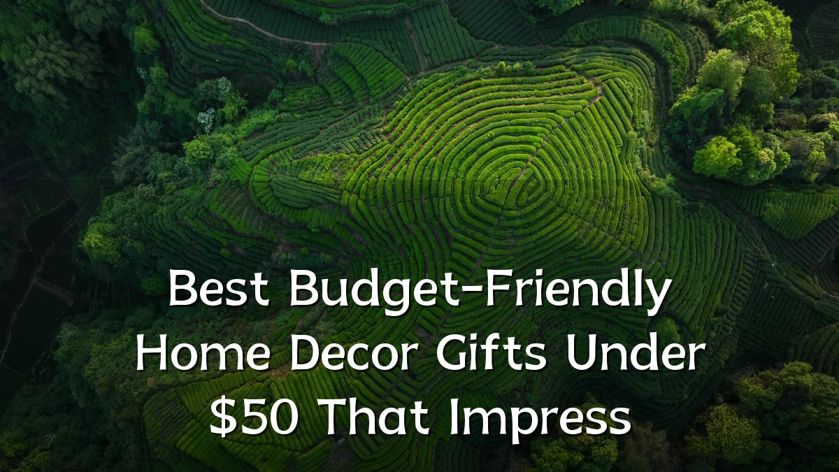 Best Budget-Friendly Home Decor Gifts Under $50 That Impress