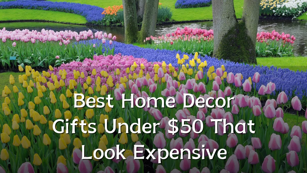 Best Home Decor Gifts Under $50 That Look Expensive