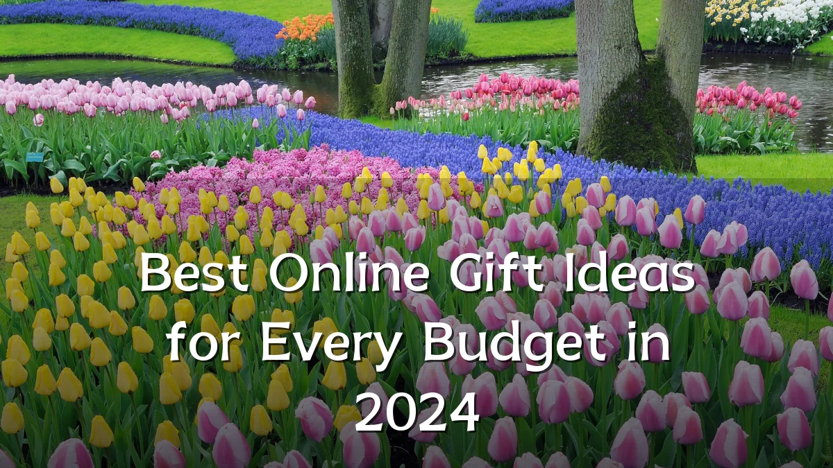 Best Online Gift Ideas for Every Budget in 2024