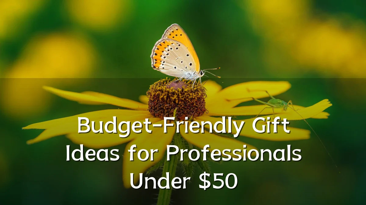 Budget-Friendly Gift Ideas for Professionals Under $50