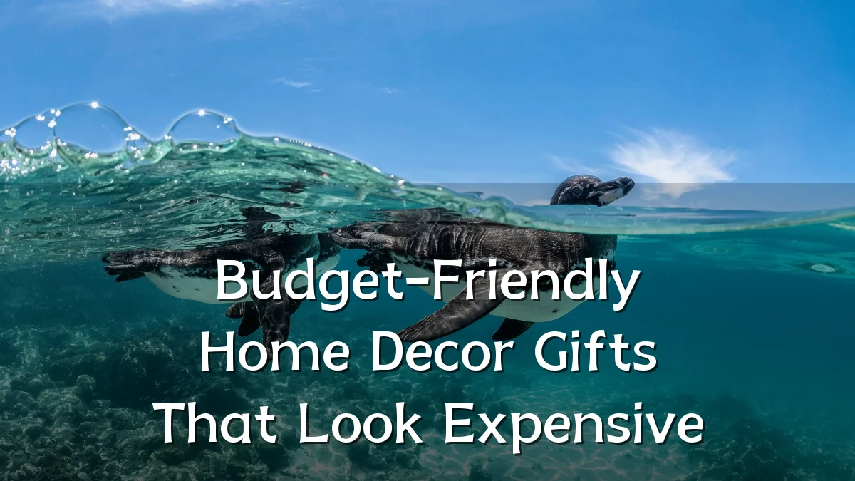 Budget-Friendly Home Decor Gifts That Look Expensive