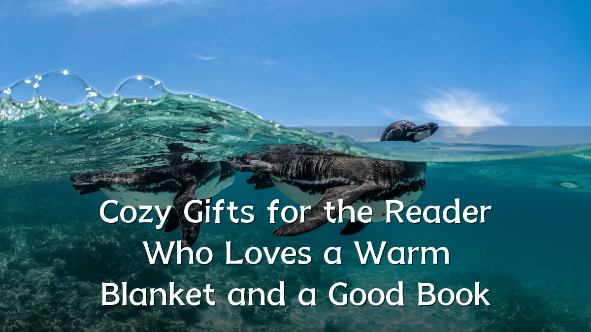 Cozy Gifts for the Reader Who Loves a Warm Blanket and a Good Book
