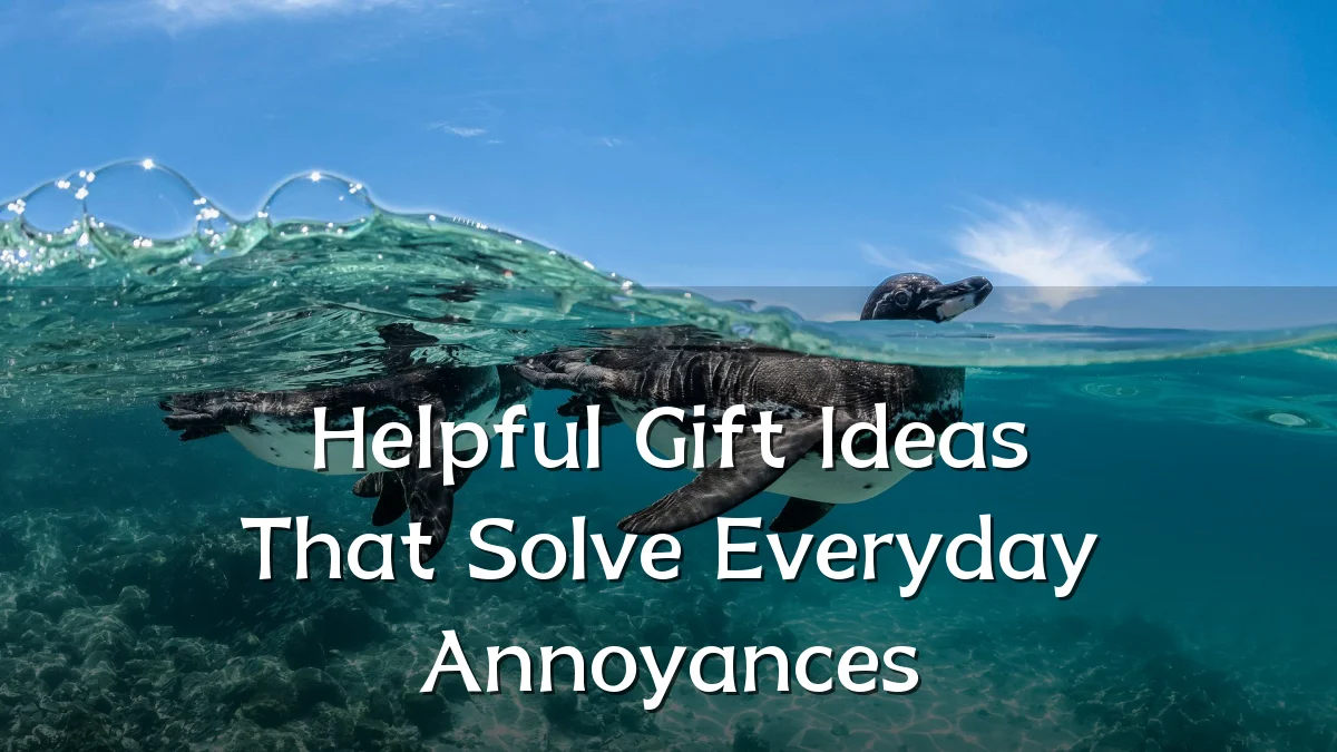 Helpful Gift Ideas That Solve Everyday Annoyances
