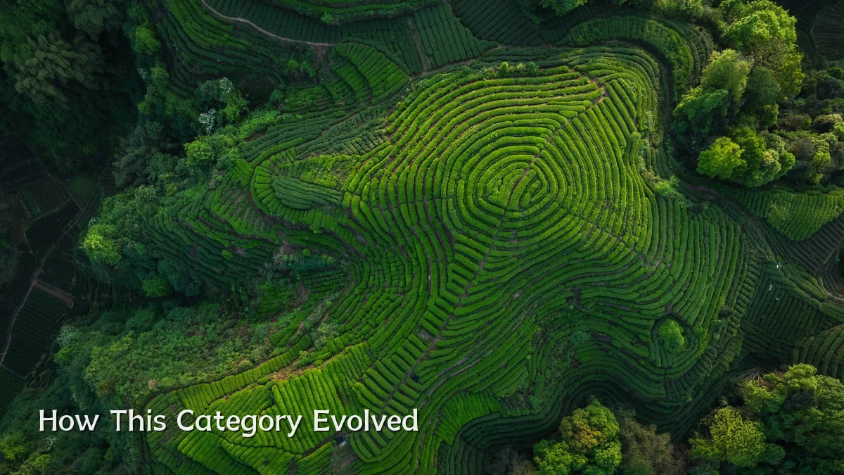 How This Category Evolved