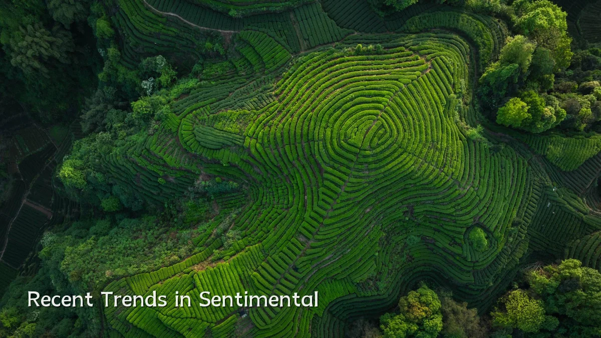 Recent Trends in Sentimental