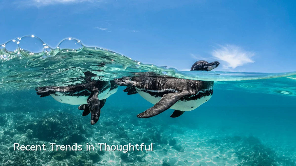 Recent Trends in Thoughtful