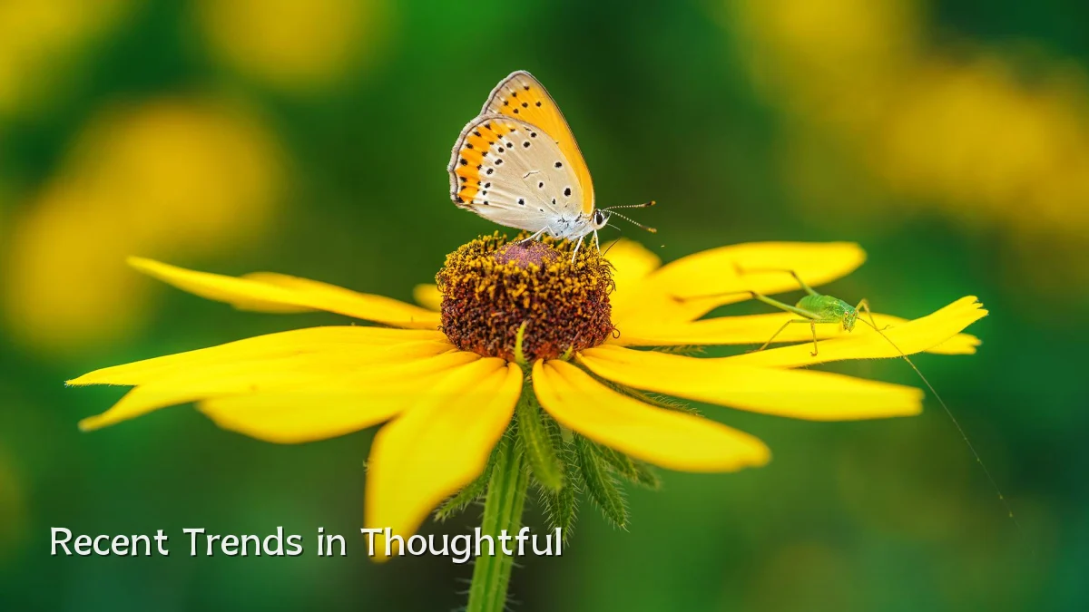 Recent Trends in Thoughtful