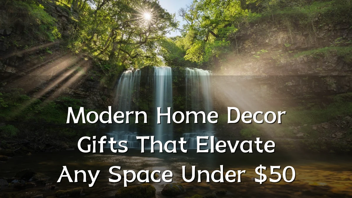 Modern Home Decor Gifts That Elevate Any Space Under $50