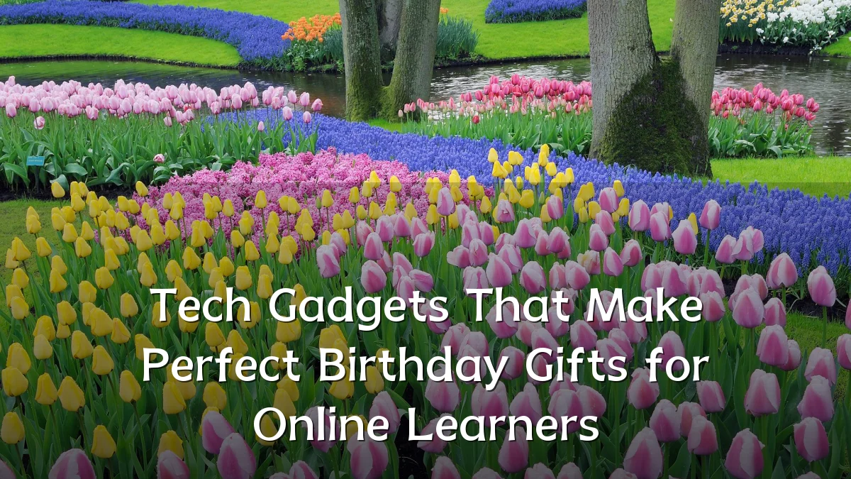 Tech Gadgets That Make Perfect Birthday Gifts for Online Learners