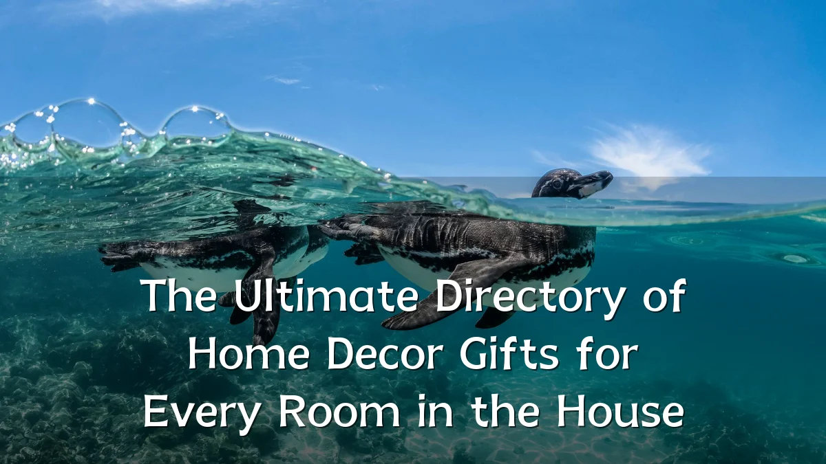 The Ultimate Directory of Home Decor Gifts for Every Room in the House