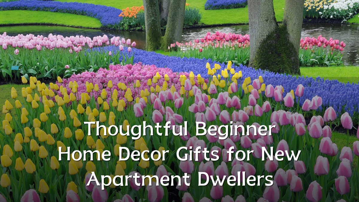 Thoughtful Beginner Home Decor Gifts for New Apartment Dwellers