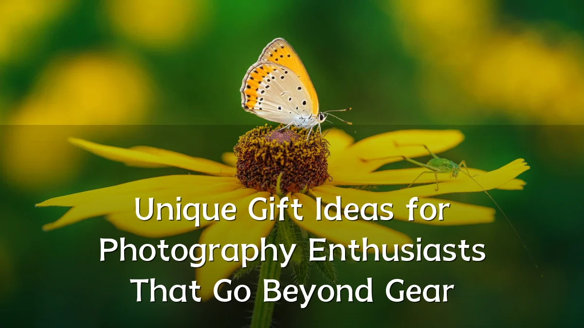 Unique Gift Ideas for Photography Enthusiasts That Go Beyond Gear