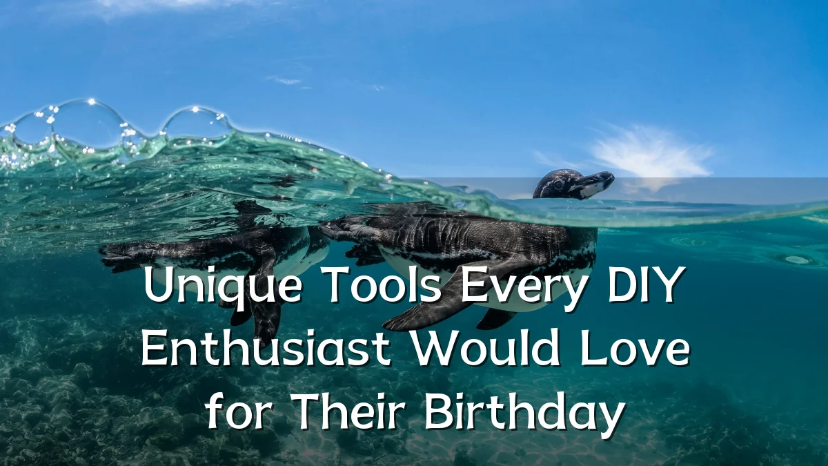 Unique Tools Every DIY Enthusiast Would Love for Their Birthday